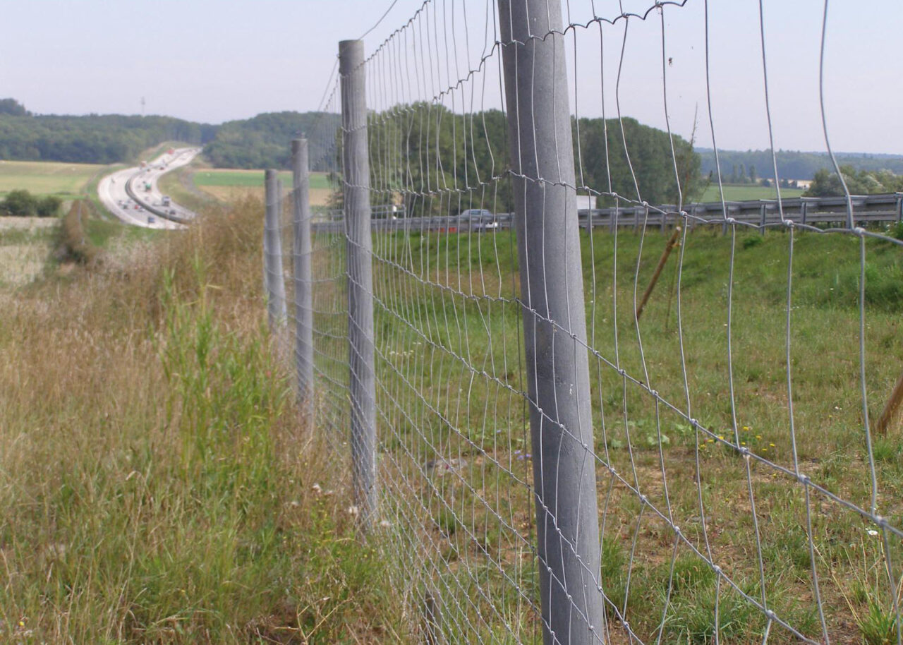 Grey recycled plastic posts carrying deer fencing along a motorway embankment