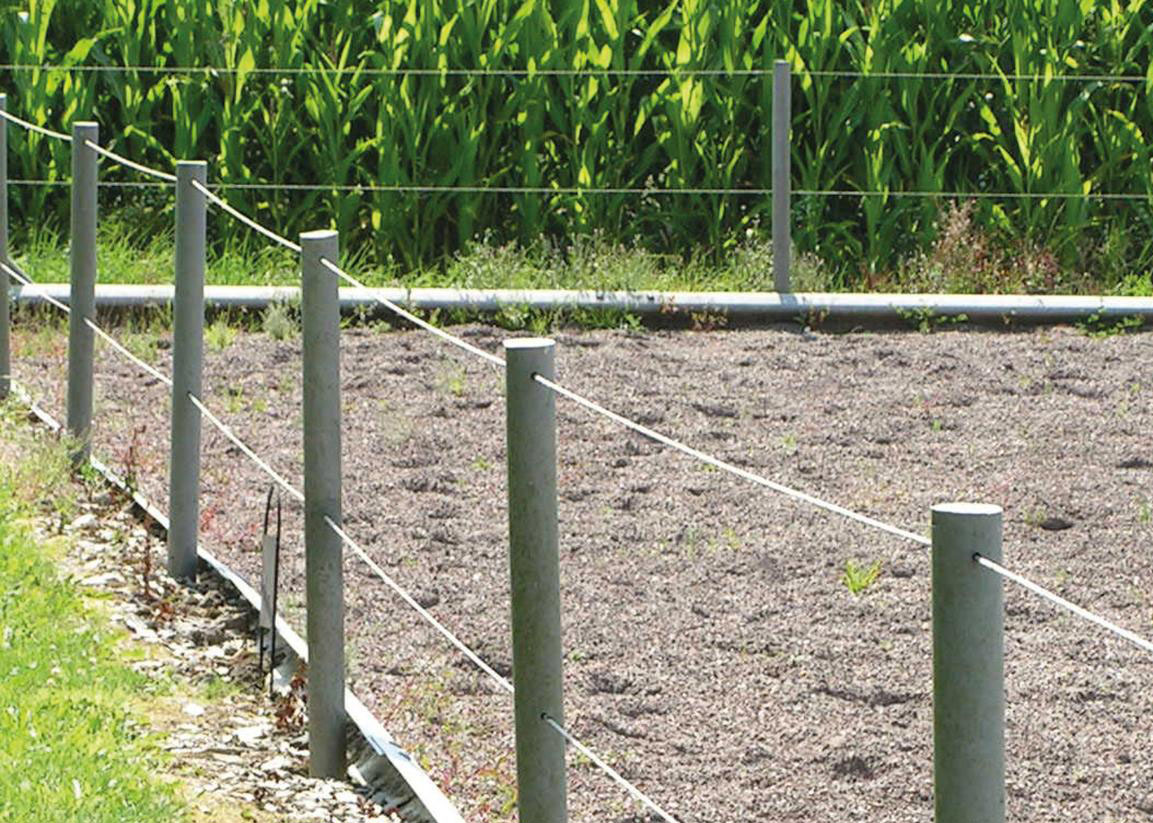 A line of recycled plastic posts carrying fence wire along the edge of a crop